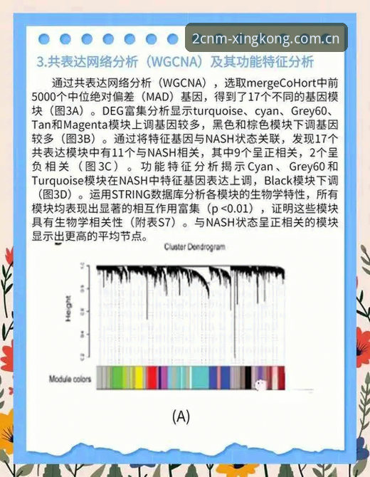 J1联赛速度榜背后的数据逻辑与观赛新视角深度分析